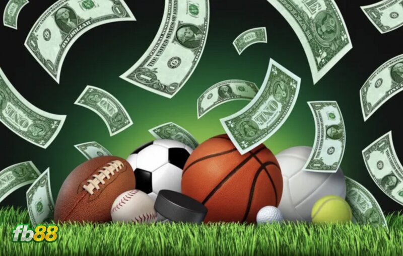 FB88 Sports - What Sports Are Available At FB88 Sports?